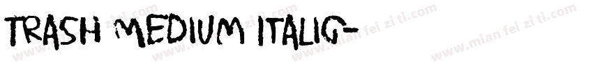 Trash Medium Italic字体转换